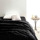 毛布・パッド 2枚合わせ毛布・ボックスシーツ パッド一体型セット 発熱わた入り クイーン プレミアムマイクロファイバー