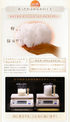 掛布団クイーン 9色から選べる!シンサレート入り掛布団