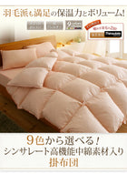 掛布団クイーン 9色から選べる!シンサレート入り掛布団