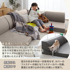 Sofa Sofa Low sofa 2 seater 1 seater Low sofa Floor sofa Kotatsu sofa Kotatsu sofa Chair Compressed packaging Floor sofa Sofa 2 seater single item