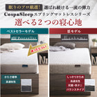Assembly and installation included Bed with storage Double bed Mattress included Chest Storage bed Large capacity Casters Headboard Takumi Mattress included Double