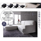 レイアウト自由!フロアカウチソファ ソファ&オットマンセット 2人掛け