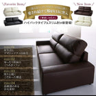 フロアソファ ワイド肘 ロータイプ 2.5人掛け