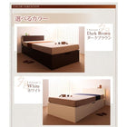 収納ベッド ガス圧式跳ね上げ 組立設置付 フランスベッド マルチラススーパースプリング 縦開き セミダブル 深さレギュラー