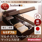 収納ベッド ガス圧式跳ね上げ 組立設置付 フランスベッド マルチラススーパースプリング 縦開き セミダブル 深さラージ