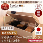 収納ベッド ガス圧式跳ね上げ 組立設置付 フランスベッド マルチラススーパースプリング 横開き セミシングル 深さレギュラー