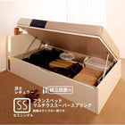 収納ベッド ガス圧式跳ね上げ 組立設置付 フランスベッド マルチラススーパースプリング 横開き セミシングル 深さレギュラー