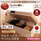 収納ベッド ガス圧式跳ね上げ 組立設置付 フランスベッド マルチラススーパースプリング 横開き セミシングル 深さラージ