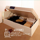 収納ベッド ガス圧式跳ね上げ 組立設置付 フランスベッド マルチラススーパースプリング 横開き セミシングル 深さラージ
