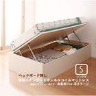 跳ね上げ収納ベッド 薄型スタンダードボンネルコイル 横開き ヘッドレス シングル ショート丈 深さラージ