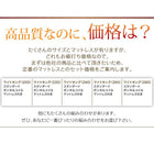 大型フロアベッド 分割・シンプル マットレス無し ベッドフレームのみ キング(SS+S)