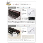 フロアベッド ダブル フランスベッド マルチラススーパースプリングマットレス付 モノトーンバイカラーデザイン棚 コンセント付き