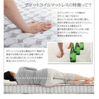 フロアベッド セミダブル フランスベッド マルチラススーパースプリングマットレス付