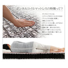 フロアベッド セミダブル フランスベッド マルチラススーパースプリングマットレス付