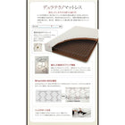 フロアベッド セミダブル フランスベッド マルチラススーパースプリングマットレス付