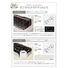 フロアベッド ダブル フランスベッド マルチラススーパースプリングマットレス付