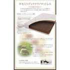 フロアベッド ダブル フランスベッド マルチラススーパースプリングマットレス付