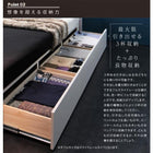 収納ベッド スタンダードポケットコイル ダブル