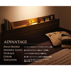 収納ベッド セミダブル フランスベッド マルチラススーパースプリングマットレス付 モダンライト コンセント付き