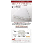 チェストベッド セミシングル 棚 コンセント付き 大容量コンパクト 薄型スタンダードポケットコイルマットレス付き ショート丈