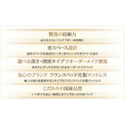 収納ベッド セミダブル フランスベッド マルチラススーパースプリングマットレス付き 国産 跳ね上げ 縦開き 深さレギュラー