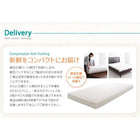 マットレス 薄型・軽量・高通気 ジュニア ボンネルコイル セミシングル レギュラー丈