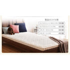 マットレス 薄型・軽量・高通気 ジュニア ポケットコイル シングル レギュラー丈