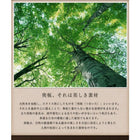 ナイトテーブル テーブル コンセント収納付き コンパクト W30