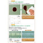 畳 ベッド ベット 跳ね上げ セミダブル 美草・日本製 深さレギュラー お客様組立