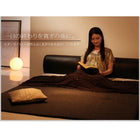 セミダブル フロアベッド ソフトレザー フランスベッド マルチラススーパースプリング