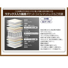 ダブルベッド チェストベッド 収納付 国産ボンネルコイル