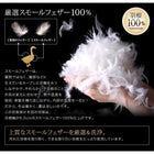 新20色羽根掛布団 ダブル