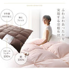 新20色羽根掛布団 ダブル