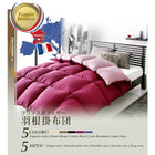 フランス産フェザー羽根掛布団 掛布団 クイーン