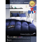 羽根布団10点セット ベッドタイプ クイーン10点セット フランス産フェザー