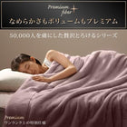 毛布・パッド 2枚合わせ毛布・ボックスシーツ パッド一体型セット 発熱わた入り クイーン プレミアムマイクロファイバー