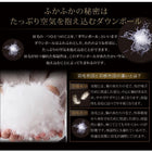 ホワイトダックダウン90%羽毛掛布団 キング エクセルゴールドラベル