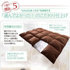 布団セット ベッドタイプ ダブル11点セット 来客用 掛け布団 枕 布団カバー ボックスシーツ 敷パッド ベッドパッド