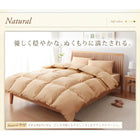 セミダブル 布団セット 和タイプ セミダブル 8点セット 来客用 敷き布団 掛布団 枕 布団カバー 敷布団カバー 収納ケース