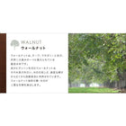 ダイニング 5点セット(テーブル+チェア4) W150 天然木 ウォールナット モダン