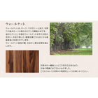 ダイニング ダイニングチェア 2脚組 天然木 ウォールナット エクステンション