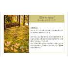 ダイニングテーブル W120 アンティーク調