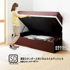 ベッド 収納 ガス式跳ね上げ セミダブル 薄型スタンダードボンネルコイル 横開き 深さ グランド お客様組立