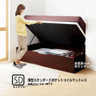 ベッド 収納 ガス式跳ね上げ セミダブル 薄型スタンダードポケットコイル 横開き 深さ レギュラー お客様組立