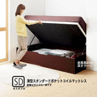 ベッド 収納 ガス式跳ね上げ セミダブル 薄型スタンダードポケットコイル 横開き 深さ ラージ お客様組立