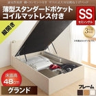 ガス圧ベッド 跳ね上げ セミシングル 薄型スタンダードポケットコイル 縦開き 深さグランド