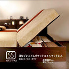 ガス圧式跳ね上げベッド 薄型プレミアムポケットコイル 横開き セミシングル 深さラージ