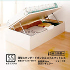 収納ベッド 跳ね上げ 組立設置付 薄型スタンダードボンネルコイル 横開き ヘッドレス セミシングル ショート丈 深さレギュラー