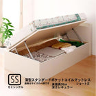 跳ね上げ収納ベッド 薄型スタンダードポケットコイル 横開き ヘッド付 セミシングル ショート丈 深さレギュラー