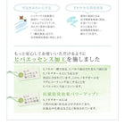 い草ラグ 190×250 小さくたためる ウレタン入り はっ水